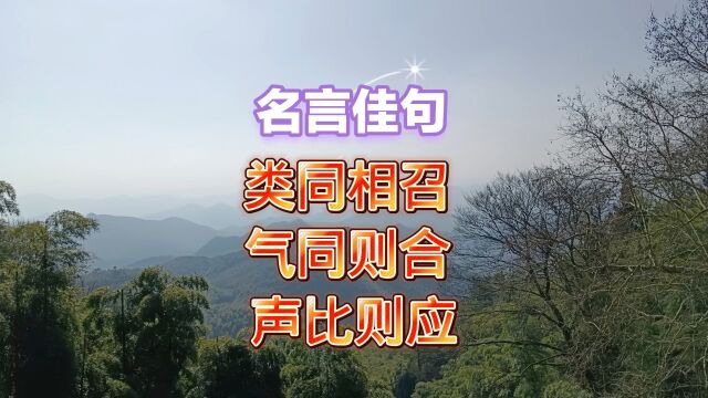 类同相召 气同则合 声比则应