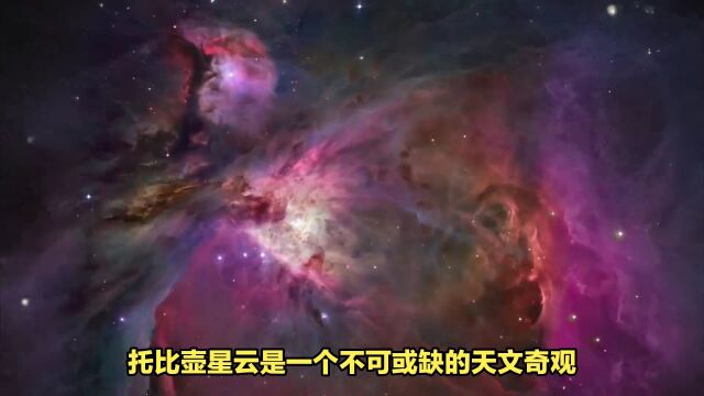 双重反射星云:托比壶星云解密恒星相互作用奥秘