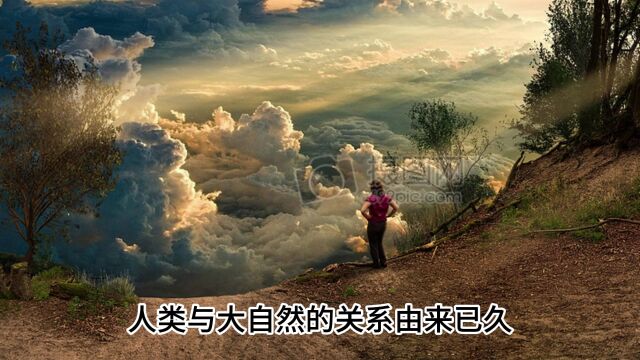 灵芝孢子功效作用与主治,探究灵芝孢子的秘密