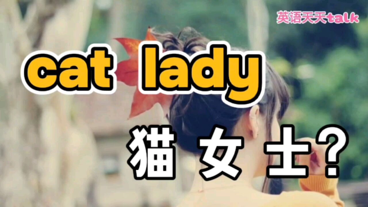 老外常说的 “cat lady”,到底是什么样的“猫女士”呢?