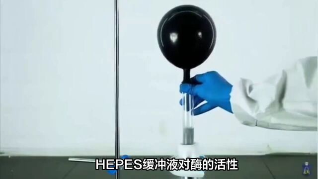 HEPES缓冲液对生化测定中酶稳定性和活性的影响