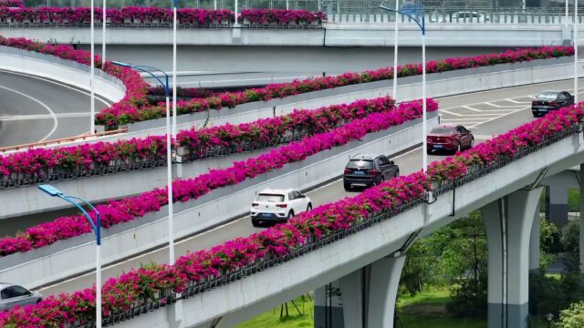 江西省赣州市,赣州是懂浪漫的