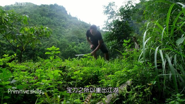 荒野生活,贵族哥开疆扩土用以种植木瓜,清理厨房来晾晒潮湿的玉米