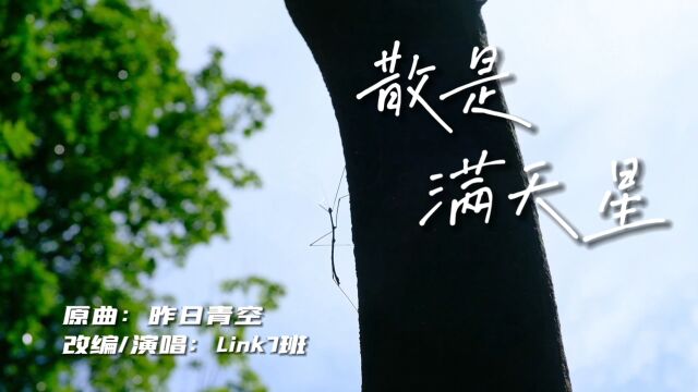 清华SIGS领客计划2023|来自LINK7的情书——《散是满天星》