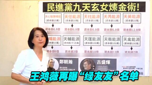 王鸿薇再曝“绿友友”名单,“绿能炼金术”套利数亿元新台币