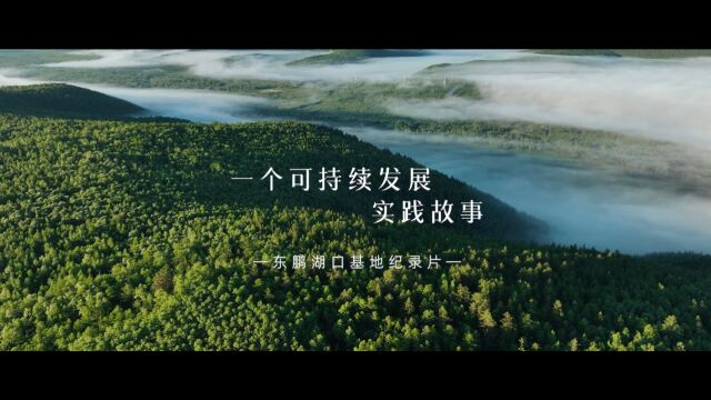 低碳东鹏,绿建先锋 | 东鹏湖口基地纪录片