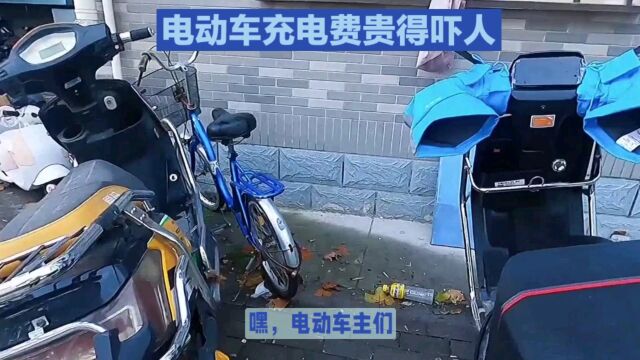 电价飞涨,电动车主们你们怎么应对