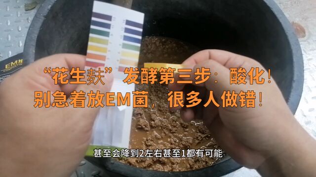 “花生麸”发酵第三步:酸化!别急着放EM菌,很多人做错!