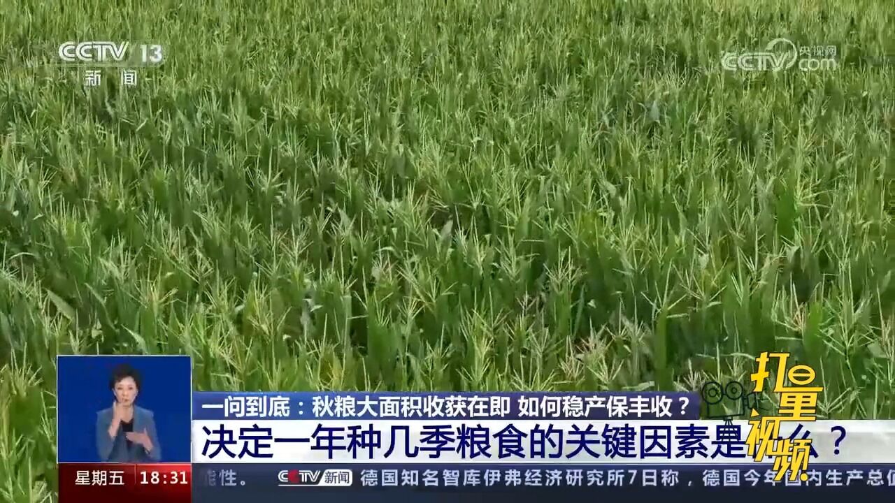 决定一年种几季粮食的关键因素是什么?