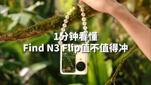 Flip最新口碑出炉!值不值得冲看这几点就够了