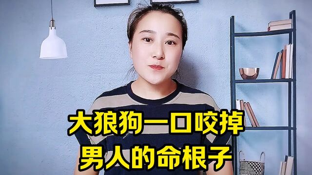 大狼狗一口咬掉男人的命根子