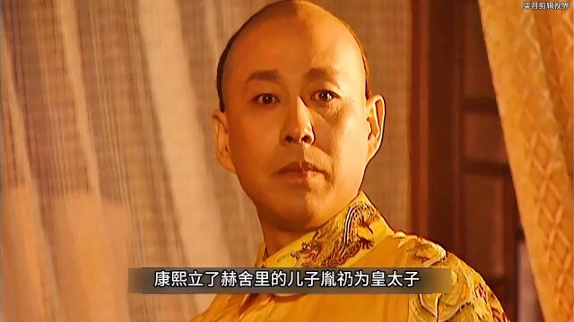 察哈尔王谋反,勤王之师成逼宫之师,康熙欲引咎辞职