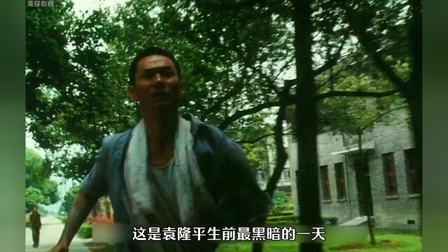 没有任何一句文案能配得上这部作品! 袁隆平 伟人故事 禾下乘凉梦