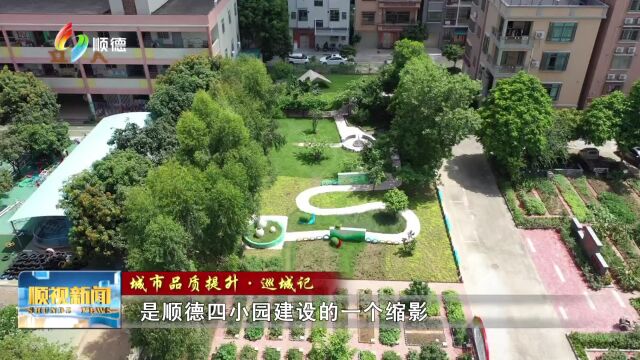 0909 顺德:超5600个“四小园”点亮乡村颜值