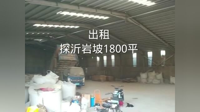 探沂岩坡厂房1800平,价格低9个出租,进9.6米大车#厂房出租