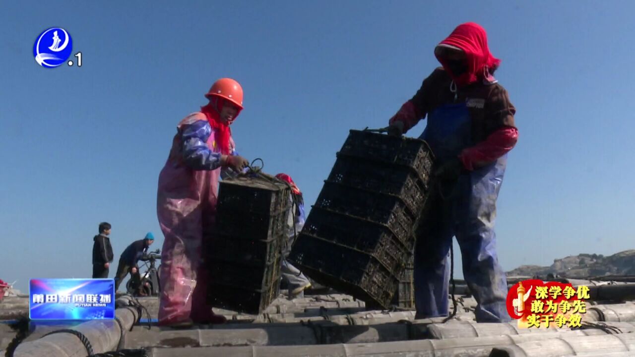 “南北接力”养殖 1600吨南日鲍回家“越冬”