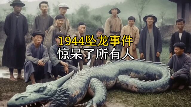 1944年坠龙事件,震惊所有人