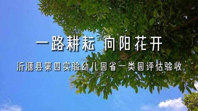 一路耕耘,向阳花开 沂源县第四实验幼儿园省一类园评估验收+曹光洋 刘春秀 江珊 审核:公海英+杨敏 发布 翟斌 张霞#幼儿园