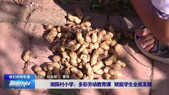 【我们的特色课】南陈村小学:多彩劳动教育课 赋能学生全面发展