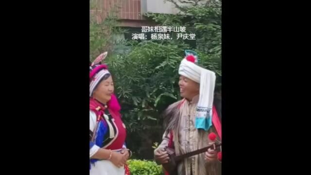 洱源西山调ⷥ“奦𙧛𘩁‡半山坡