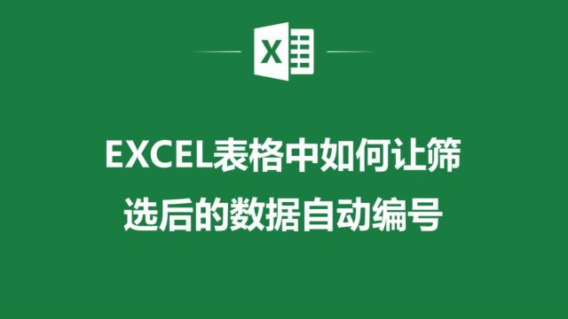 EXCEL表格中如何让筛选后的数据自动编号,你知道么?