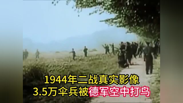 1944年二战盟军最惨烈的空降行动,3.5万伞兵被德军当鸟打,死伤超半