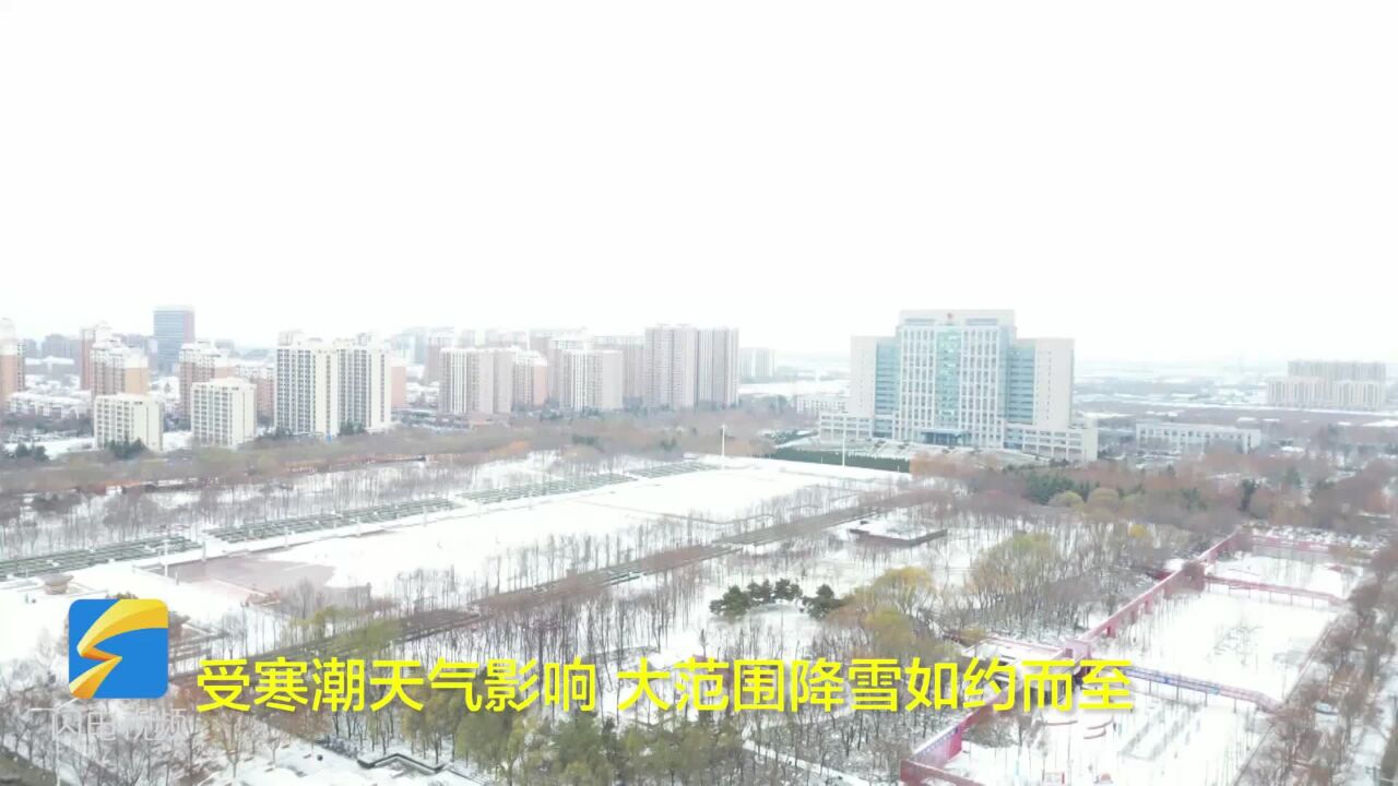 龙口市:人机结合齐上阵 多措高效保畅通