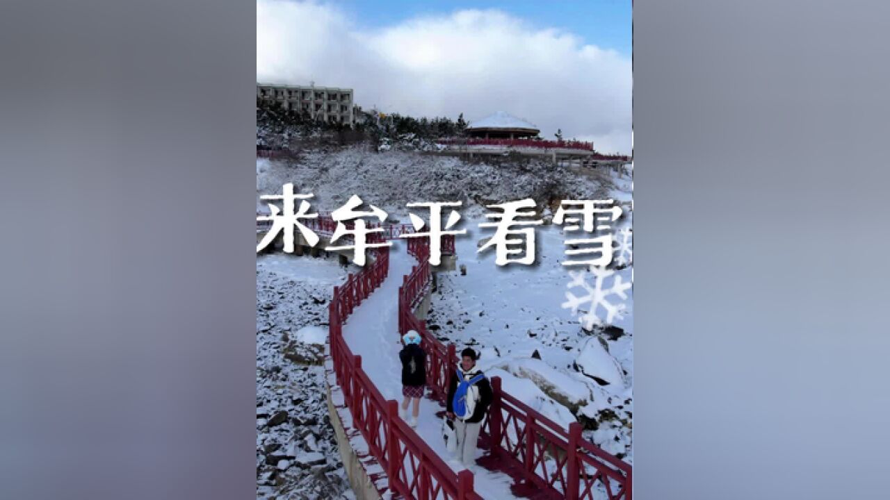 这个冬天,来,看雪吧!