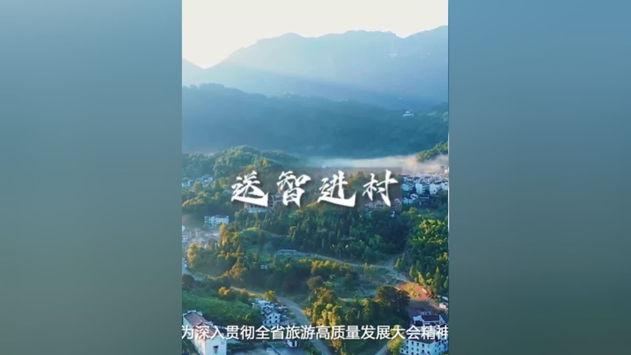 安徽省文化和旅游厅举办“送智进村”活动