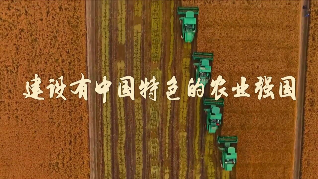 微视频|建设有中国特色的农业强国