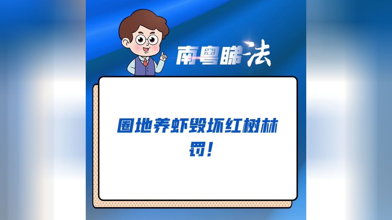 圈地养虾毁坏23.3亩红树林,男子获刑3年