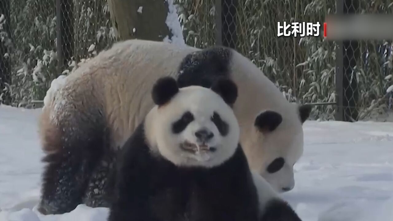 欧洲多地持续经历降雪天气,法国多地一度由于降雪发布橙色警报