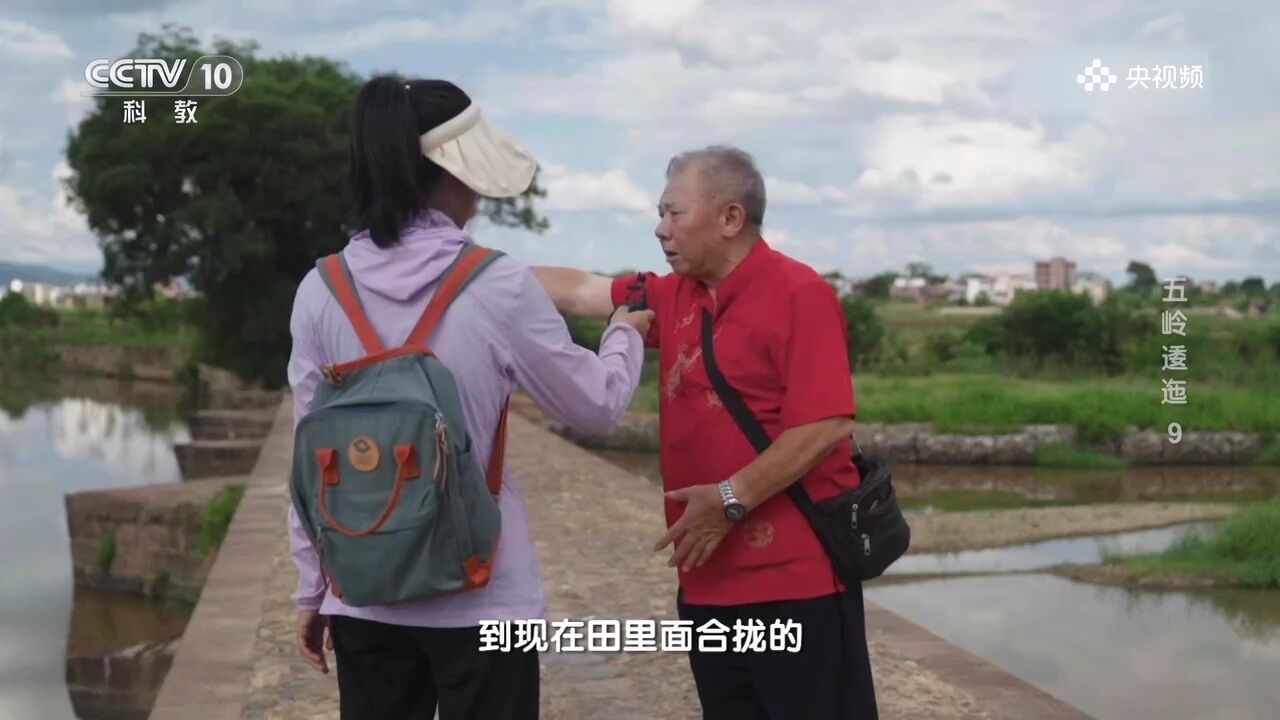 虎踞桥,因河道缩小而形成独特景观,反映历史变迁的长河