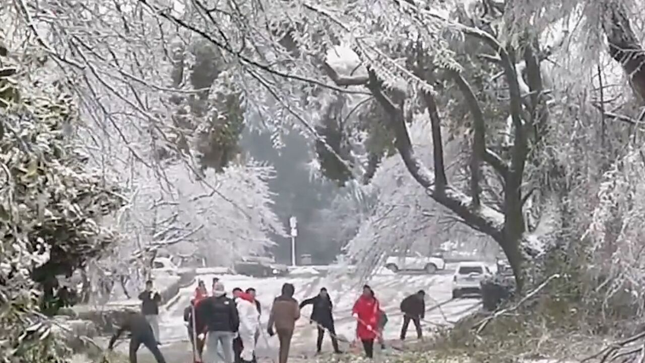 今冬为啥会有冻雨和雨凇?危害有多大?科普帖来了