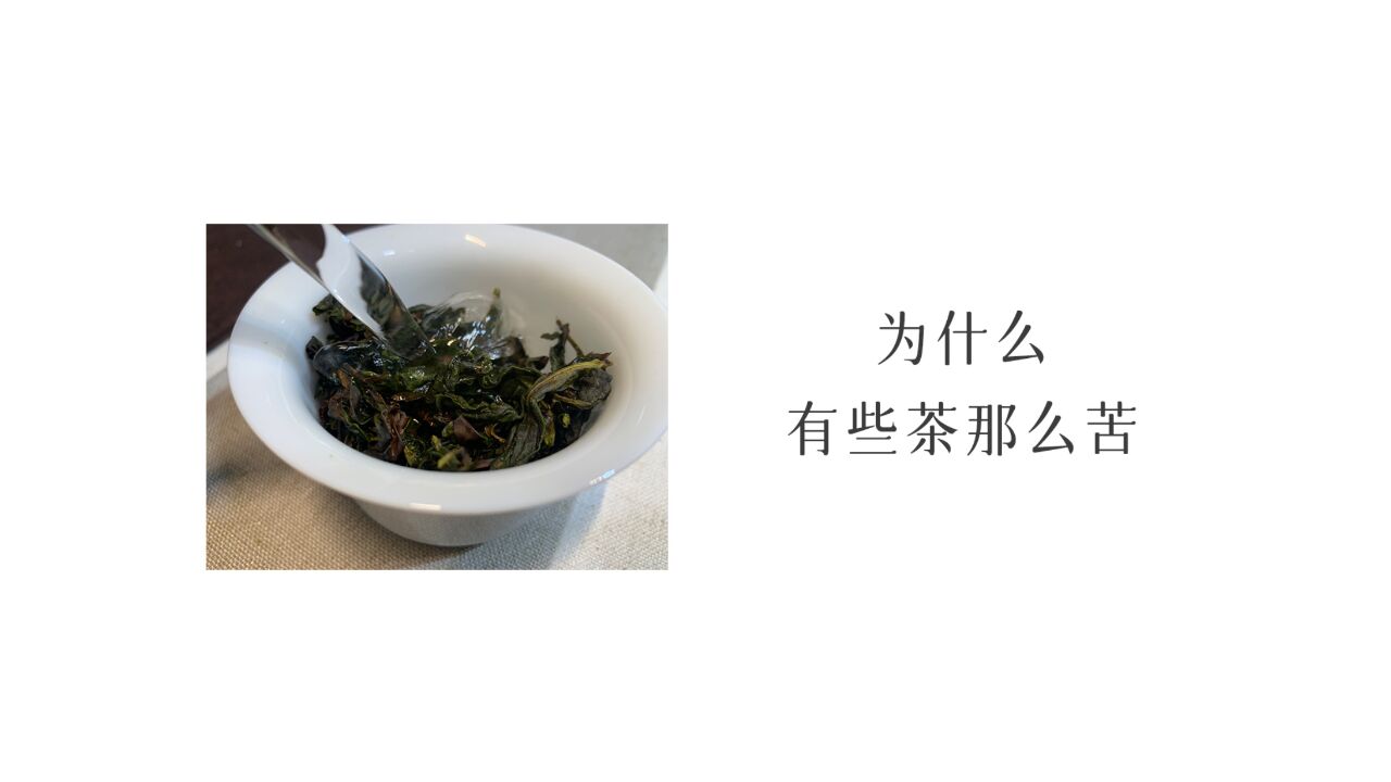 为什么有些茶,会那么苦?