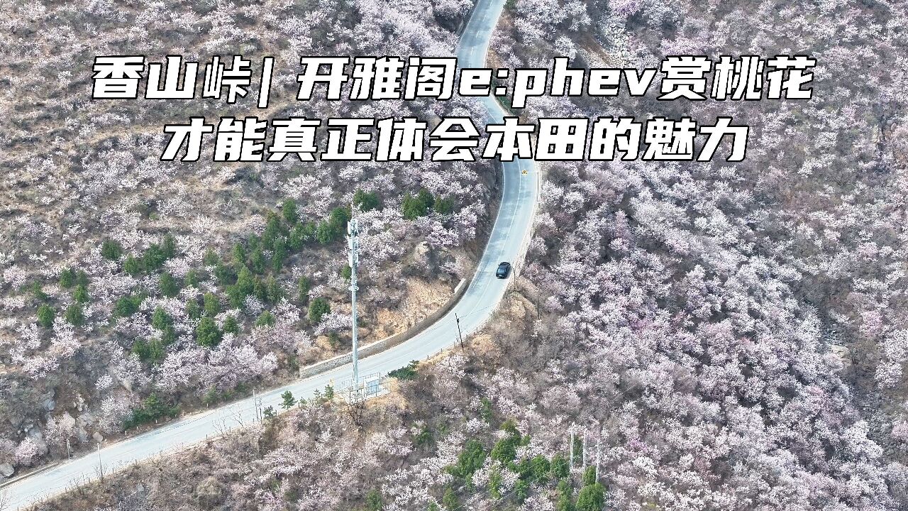 香山峠|开雅阁e:PHEV赏桃花,才能真正体会本田的魅力