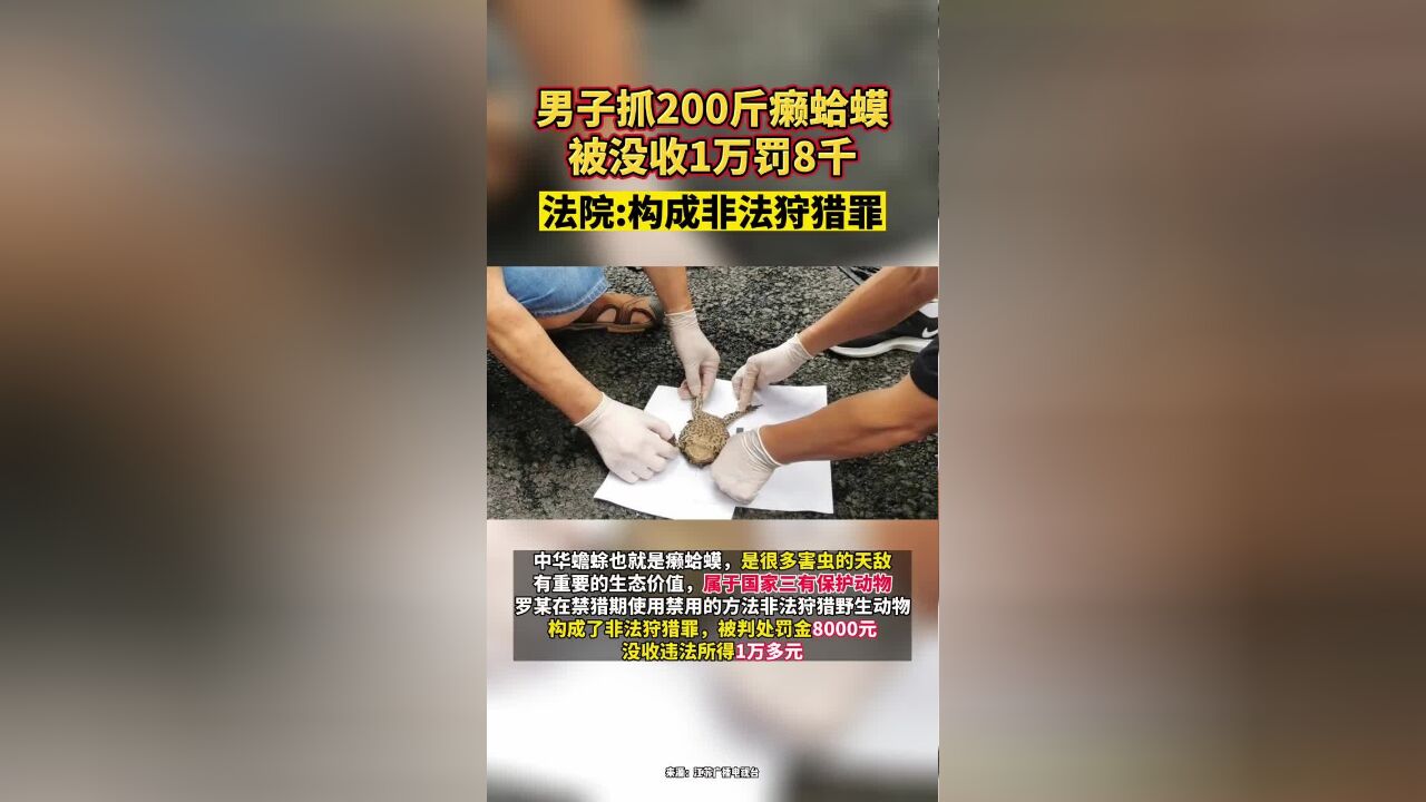 男子抓200斤癞蛤蟆 被没收1万罚8千