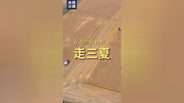 Thumbplayer Poster Plugin Image