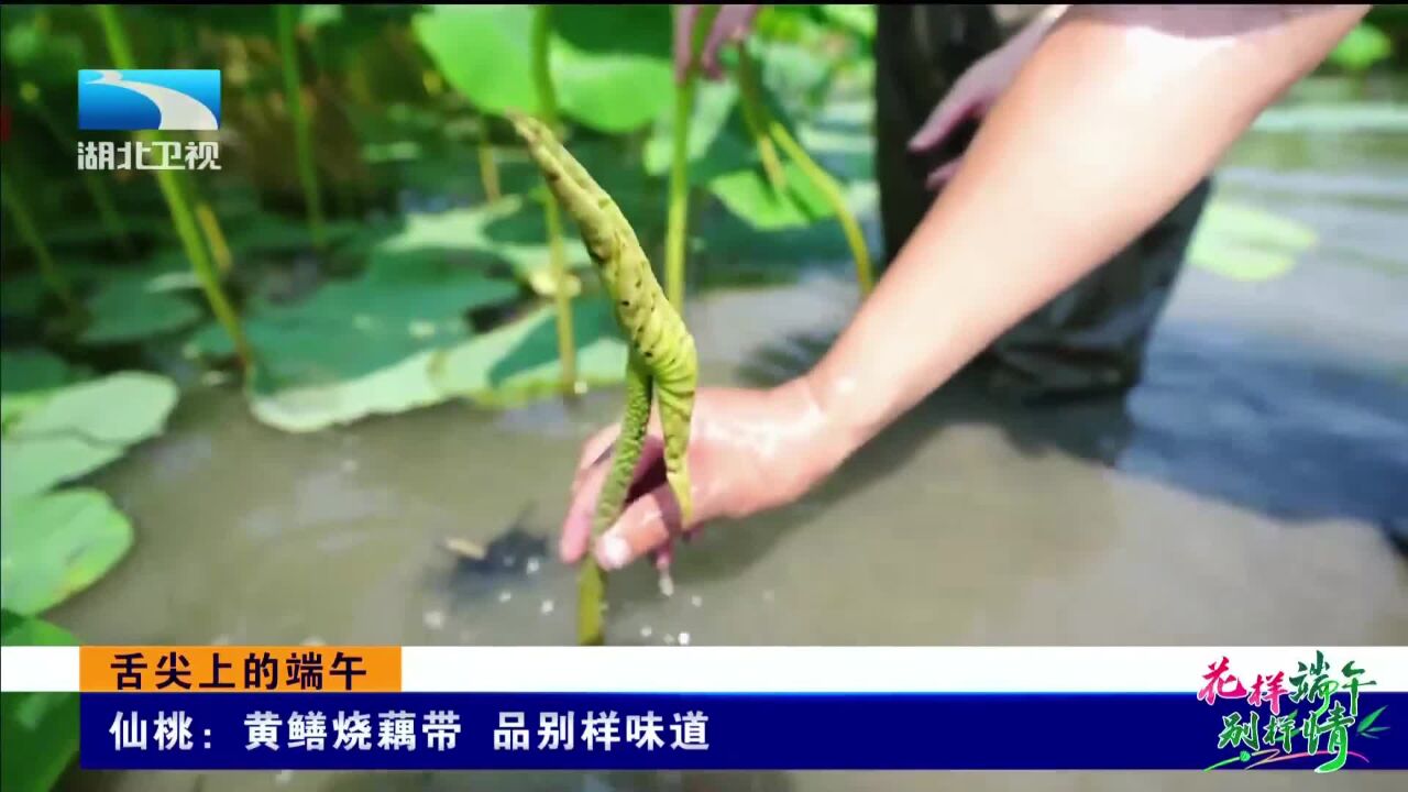 舌尖上的端午 仙桃黄鳝烧藕带 品别样味道