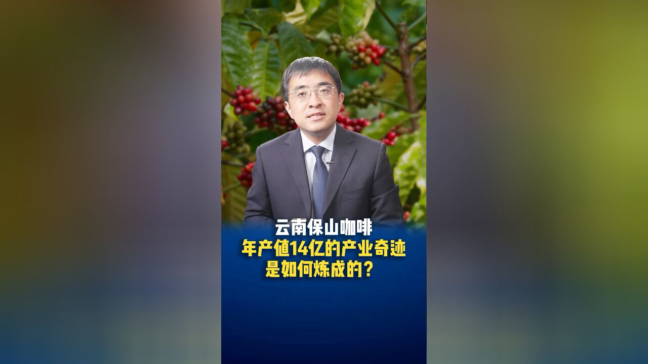 云南保山咖啡:年产值14亿的产业奇迹是如何炼成的?