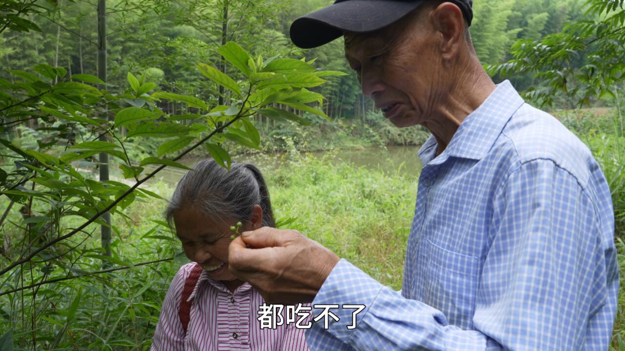 四川公婆进山找木姜子,回来熬油,老妈点锅土灶豆花,简直太下饭