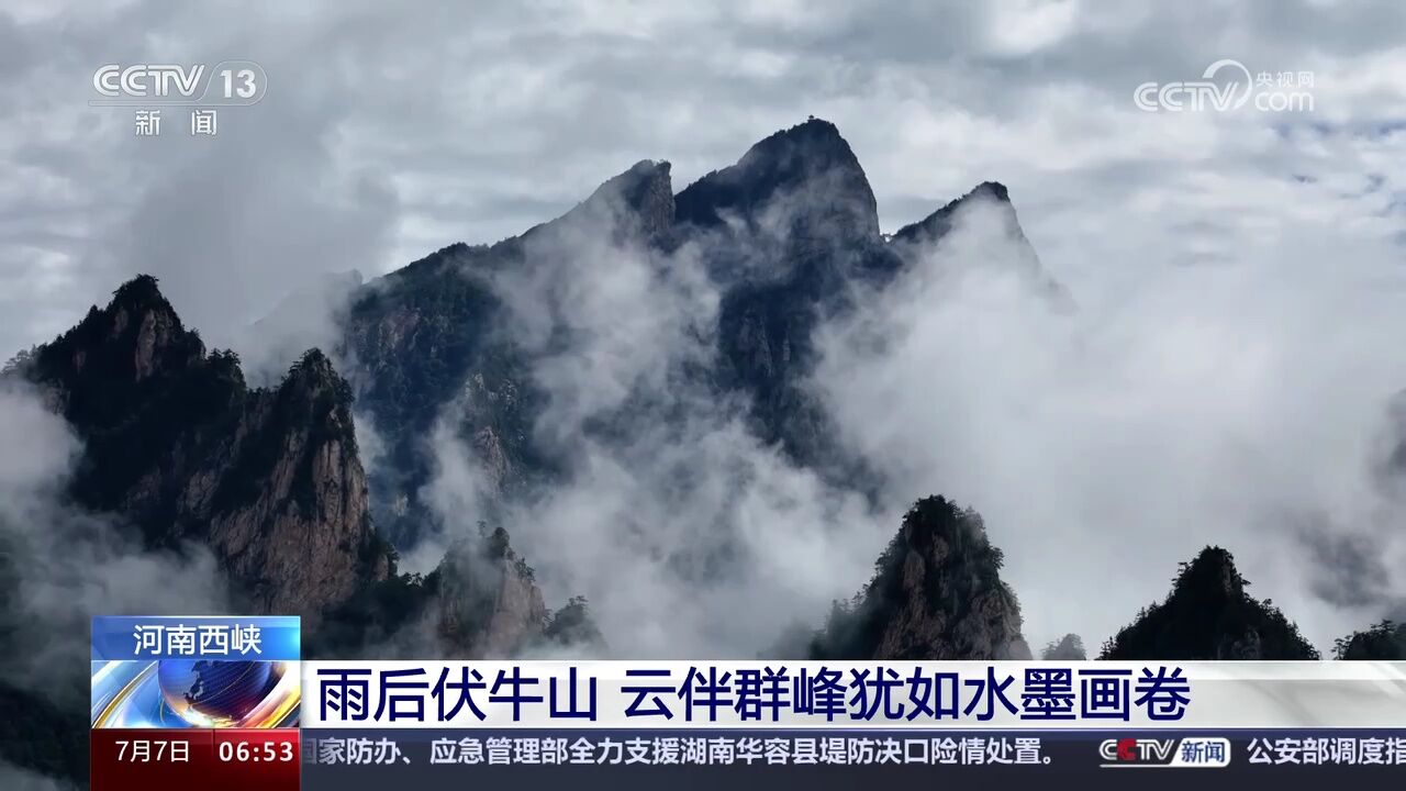 河南西峡 雨后伏牛山 云伴群峰犹如水墨画卷