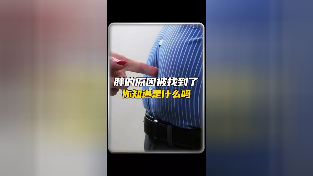 人为什么会越来越肥