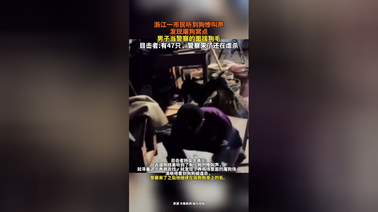 市民听到狗惨叫声发现屠狗窝点,男子当警察的面拔狗毛,目击者:有47只,警察来了还在虐杀