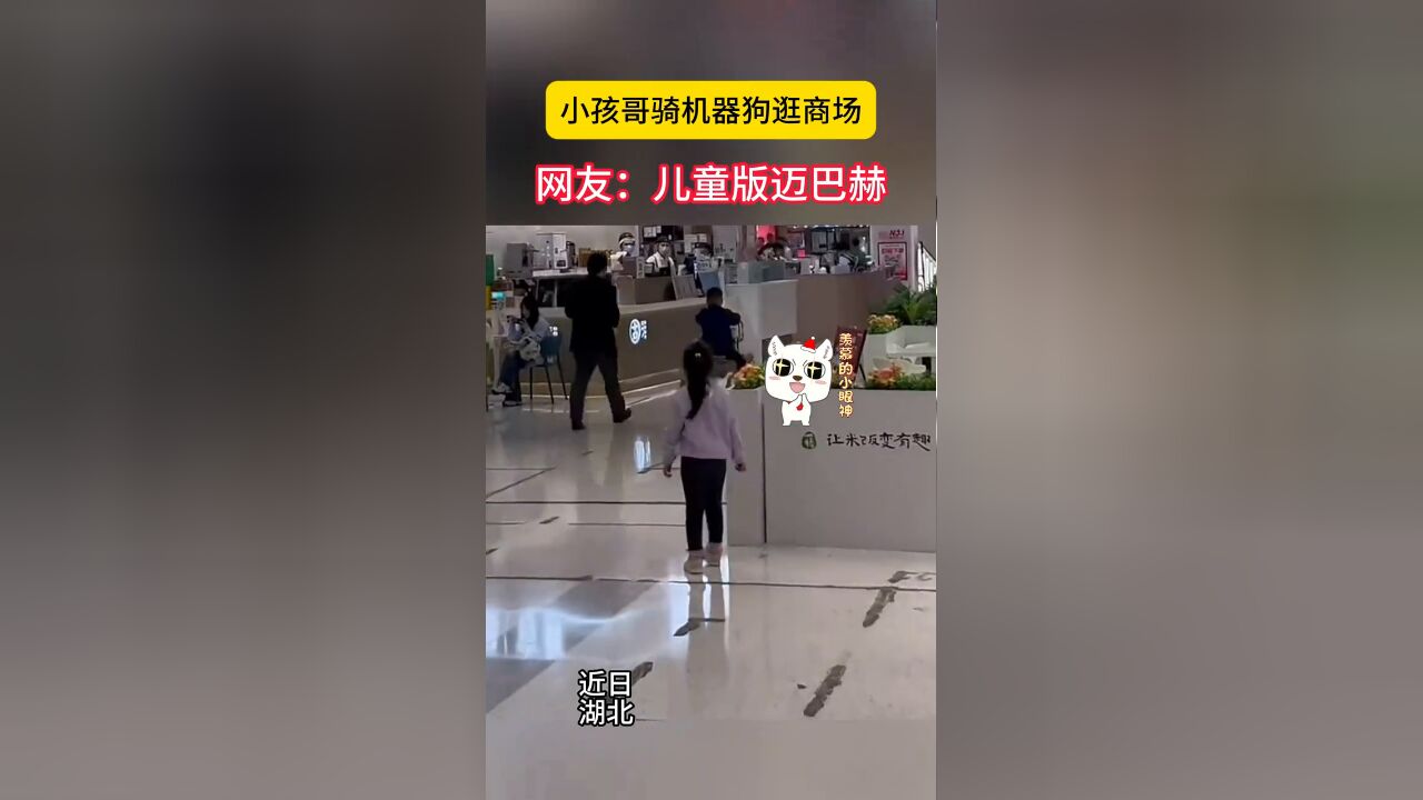 现在的“儿童玩具”也太超前了,小孩哥骑着机械狗逛商场