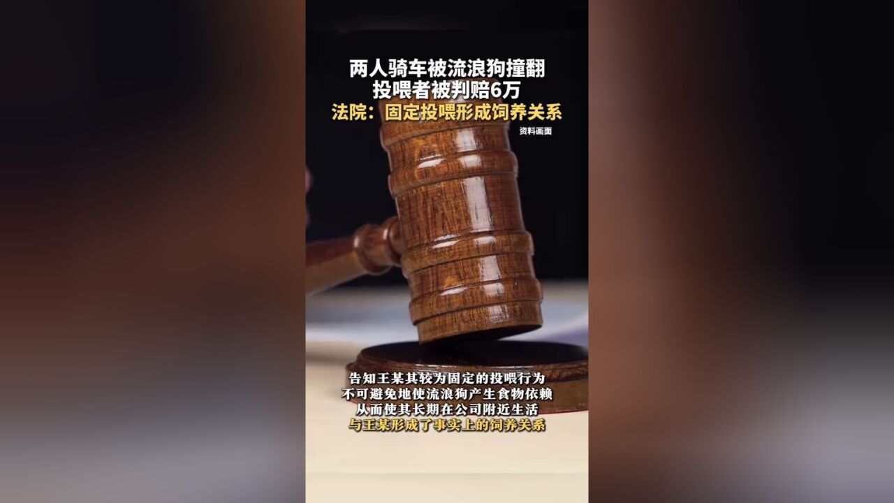 两人骑车被流浪狗撞翻,投喂者被判赔6万,法院:固定投喂形成饲养关系