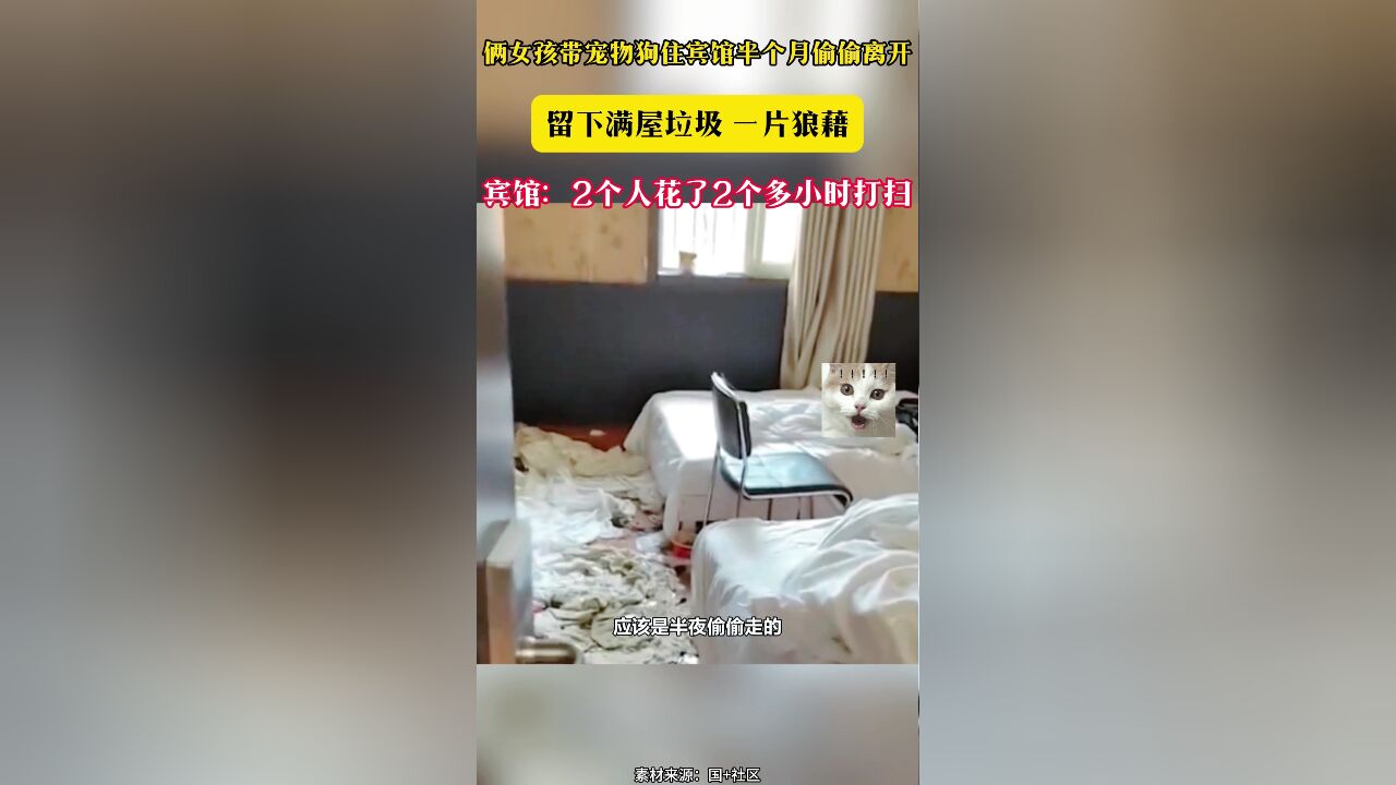 俩女孩带宠物狗住宾馆半个月偷偷离开 留下满屋垃圾 一片狼藉 宾馆:2个人花了2个多小时打扫