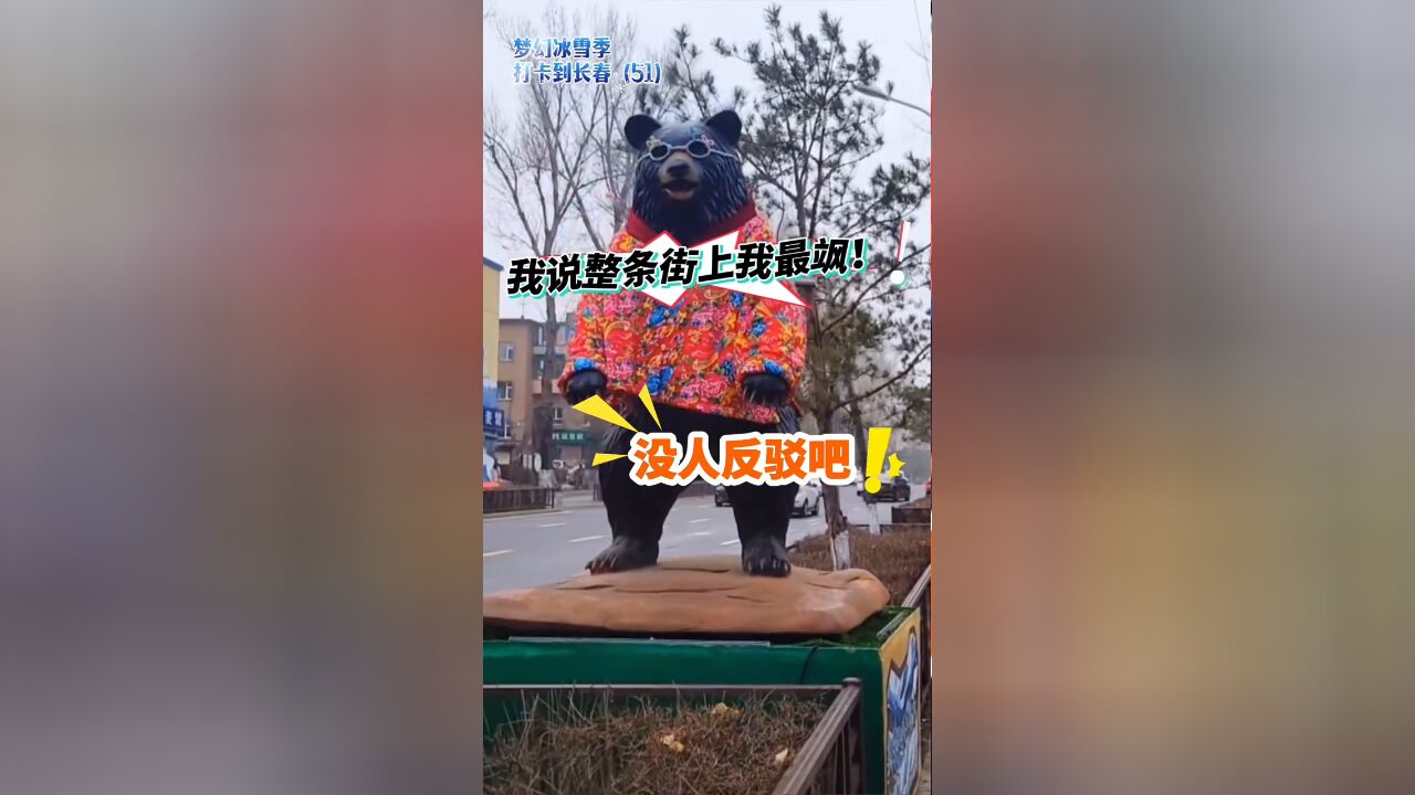 长春街头的黑熊雕像穿上了小花袄戴上了小墨镜