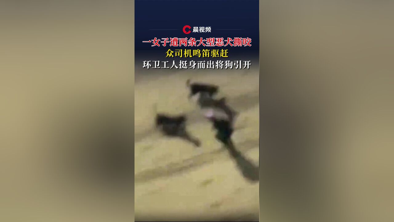 一女子遭两条大型恶犬撕咬,众司机鸣笛驱赶,环卫工人挺身而出将狗引开