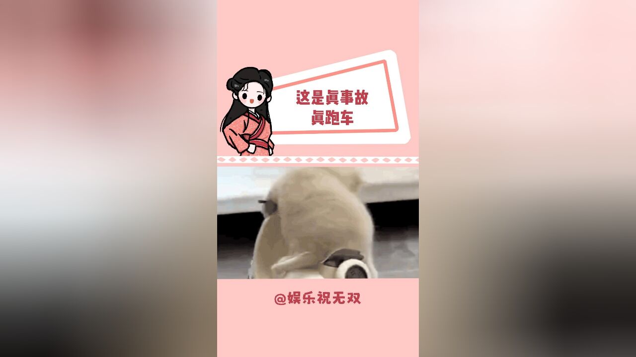 真给我吓一跳